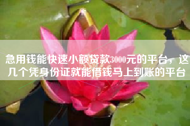 急用钱能快速小额贷款3000元的平台，这几个凭身份证就能借钱马上到账的平台