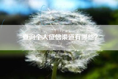 查询个人征信渠道有哪些？