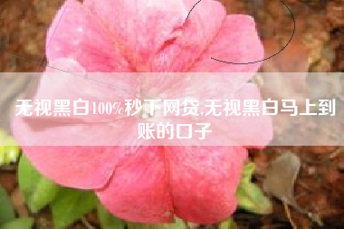无视黑白100%秒下网贷,无视黑白马上到账的口子