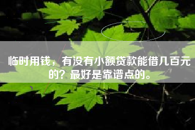 临时用钱，有没有小额贷款能借几百元的？最好是靠谱点的。