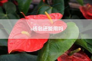 u钱包还能用吗