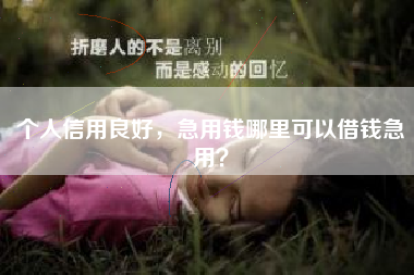 个人信用良好，急用钱哪里可以借钱急用？