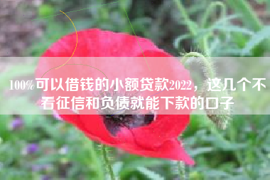 100%可以借钱的小额贷款2022，这几个不看征信和负债就能下款的口子