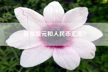新加坡元和人民币汇率？
