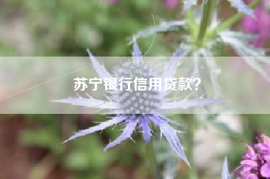 苏宁银行信用贷款？