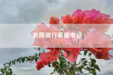 农商银行客服电话