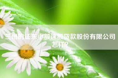 兰州的证东小额速额贷款股份有限公司怎样？