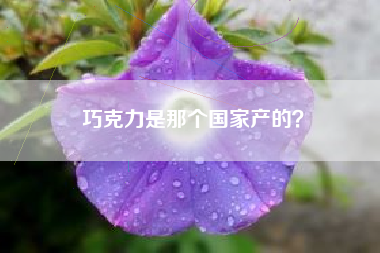 巧克力是那个国家产的？