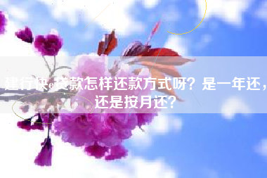 建行快e贷款怎样还款方式呀？是一年还，还是按月还？