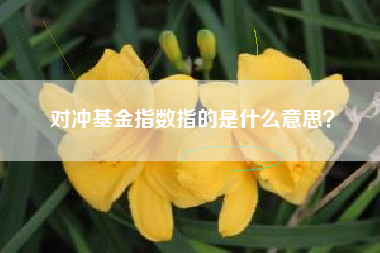 对冲基金指数指的是什么意思？
