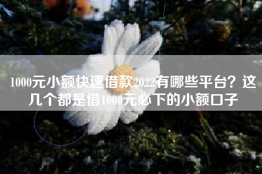 1000元小额快速借款2022有哪些平台？这几个都是借1000元必下的小额口子