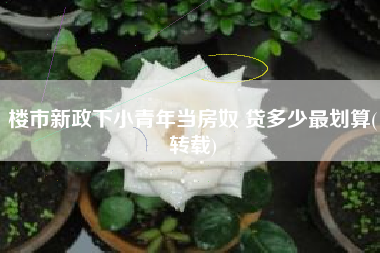 楼市新政下小青年当房奴 贷多少最划算(转载)