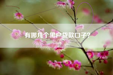 有哪几个黑户贷款口子？