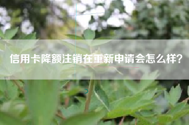 信用卡降额注销在重新申请会怎么样？