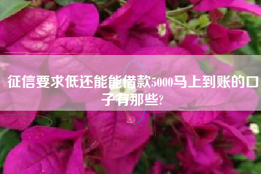征信要求低还能能借款5000马上到账的口子有那些?