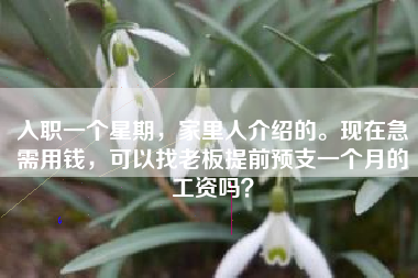 入职一个星期，家里人介绍的。现在急需用钱，可以找老板提前预支一个月的工资吗？
