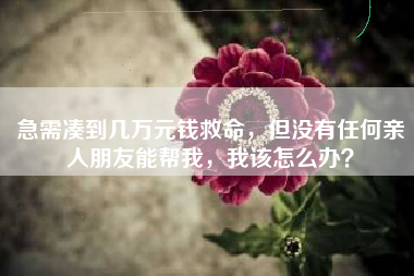 急需凑到几万元钱救命，但没有任何亲人朋友能帮我，我该怎么办？
