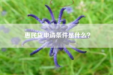 惠民贷申请条件是什么？