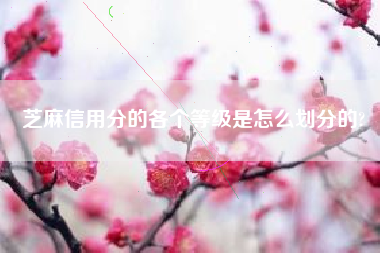 芝麻信用分的各个等级是怎么划分的?
