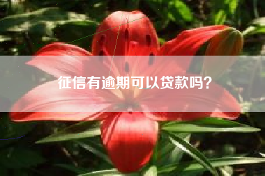 征信有逾期可以贷款吗？