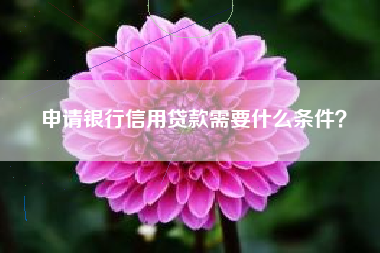 申请银行信用贷款需要什么条件？