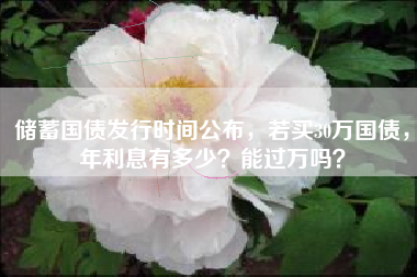 储蓄国债发行时间公布，若买30万国债，年利息有多少？能过万吗？