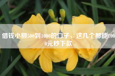 借钱小额500到1000的口子，这几个都能1000元秒下款
