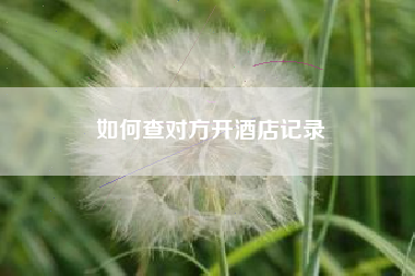如何查对方开酒店记录