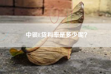 中银E贷利率是多少呢？