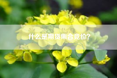 什么是期货集合竞价？
