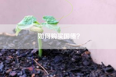 如何购买国债？
