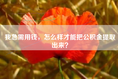 我急需用钱，怎么样才能把公积金提取出来？