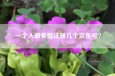 一个人最多能注册几个京东号？