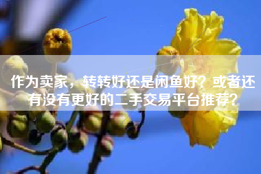 作为卖家，转转好还是闲鱼好？或者还有没有更好的二手交易平台推荐？