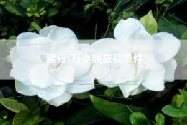 建行5万小额贷款条件