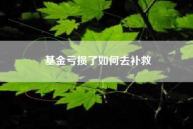 基金亏损了如何去补救