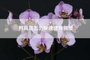 网商贷怎么快速提升额度