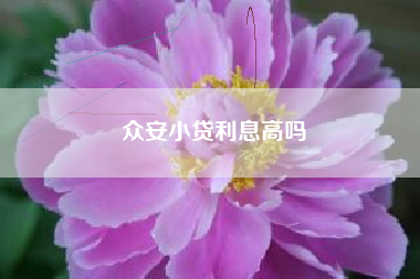 众安小贷利息高吗