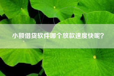 小额借贷软件哪个放款速度快呢？