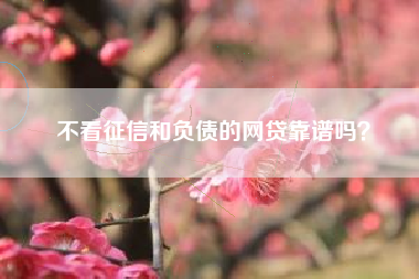 不看征信和负债的网贷靠谱吗？