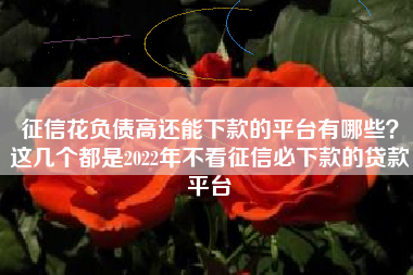 征信花负债高还能下款的平台有哪些？这几个都是2022年不看征信必下款的贷款平台