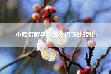 小额借款平台哪个借钱比较快?