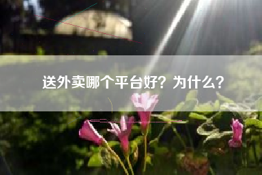 送外卖哪个平台好？为什么？