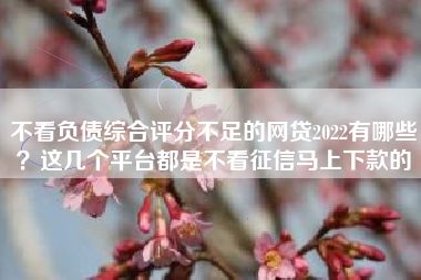 不看负债综合评分不足的网贷2022有哪些？这几个平台都是不看征信马上下款的
