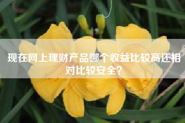 现在网上理财产品哪个收益比较高还相对比较安全？