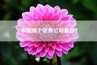 中国哪个证券公司最好？