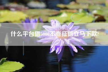 什么平台借5000不查征信立马下款?