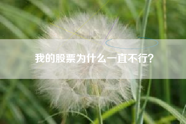 我的股票为什么一直不行？