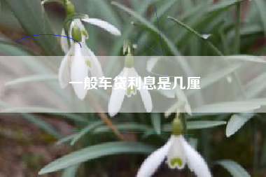 一般车贷利息是几厘