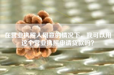 在营业执照人同意的情况下，我可以用这个营业执照申请贷款吗？